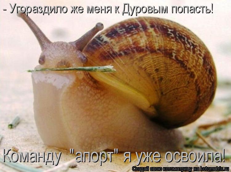 - Угораздило же меня к Дуровым попасть! Команду "апорт" я уже освоила!... Котоматрица: - Угораздило же меня к Дуровым попасть! Команду "апорт" я уже освоила!