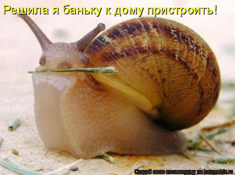 Котоматрица: Решила я баньку к дому пристроить!