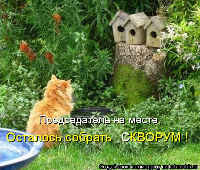 Осталось собрать КВОРУМ ! С Председатель на месте.... Котоматрица: Осталось собрать КВОРУМ ! С Председатель на месте.