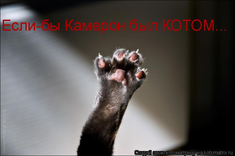Если-бы Камерон был КОТОМ...... Котоматрица: Если-бы Камерон был КОТОМ...