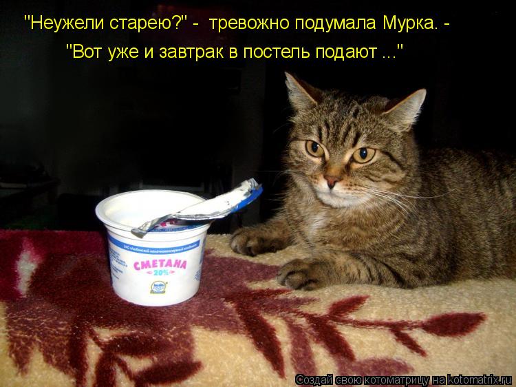 "Вот уже и завтрак в постель подают ..." "Неужели старею?" - тревожно подумала Мурка. -... Котоматрица: "Вот уже и завтрак в постель подают ..." "Неужели старею?" - тревожно подумала Мурка. -