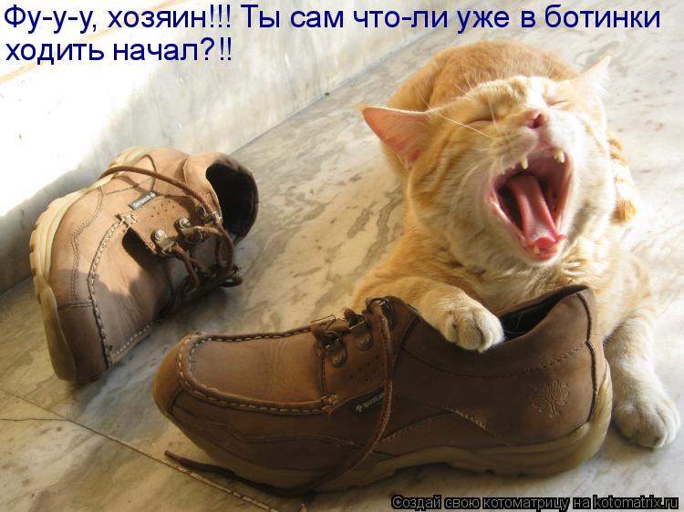 Фу-у-у, хозяин!!! Ты сам что-ли уже в ботинки ходить начал?!!... Котоматрица: Фу-у-у, хозяин!!! Ты сам что-ли уже в ботинки ходить начал?!!