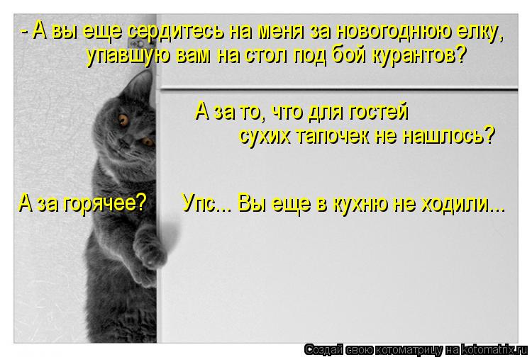 упавшую вам на стол под бой курантов? - А вы еще сердитесь на меня за новогоднюю елку, А за то, что ... Котоматрица: упавшую вам на стол под бой курантов? - А вы еще сердитесь на меня за новогоднюю елку, А за то, что для гостей сухих тапочек не нашлось? А за г