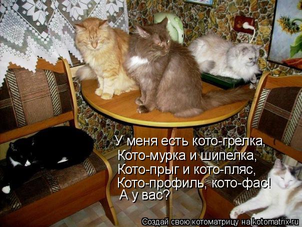 У меня есть кото-грелка, Кото-мурка и шипелка, Кото-прыг и кото-пляс, Кото-профиль, кото-фас! А у вас... Котоматрица: У меня есть кото-грелка, Кото-мурка и шипелка, Кото-прыг и кото-пляс, Кото-профиль, кото-фас! А у вас?