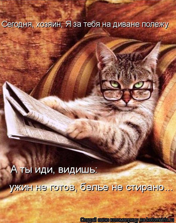 Сегодня, хозяин, Я за тебя на диване полежу. А ты иди, видишь: ужин не готов, белье не стирано...... Котоматрица: Сегодня, хозяин, Я за тебя на диване полежу. А ты иди, видишь: ужин не готов, белье не стирано...
