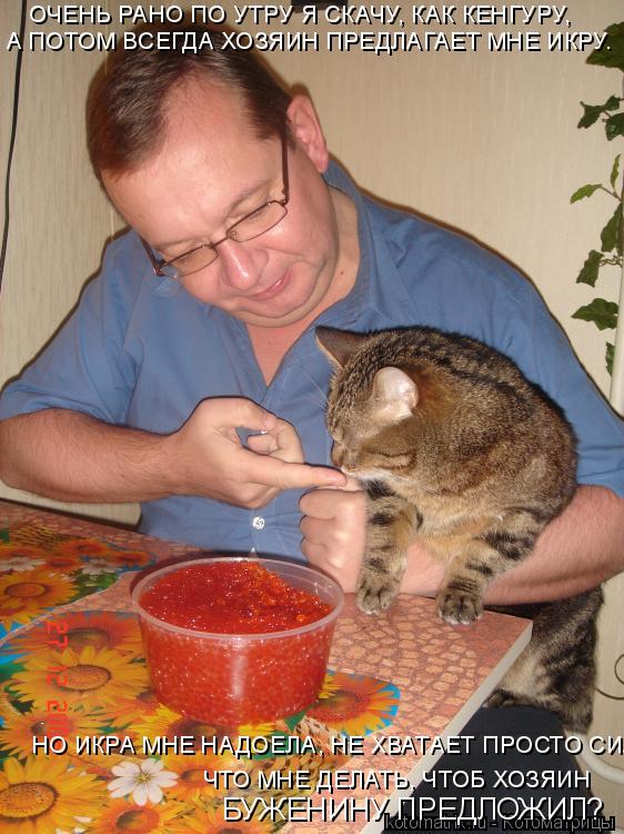 Котоматрица: ОЧЕНЬ РАНО ПО УТРУ Я СКАЧУ, КАК КЕНГУРУ,  А ПОТОМ ВСЕГДА ХОЗЯИН ПРЕДЛАГАЕТ МНЕ ИКРУ. НО ИКРА МНЕ НАДОЕЛА, НЕ ХВАТАЕТ ПРОСТО СИЛ. ЧТО МНЕ ДЕЛАТЬ