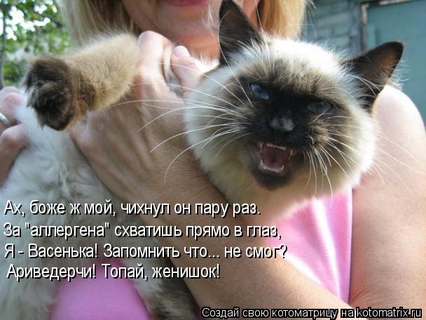Ах, боже ж мой, чихнул он пару раз. За 