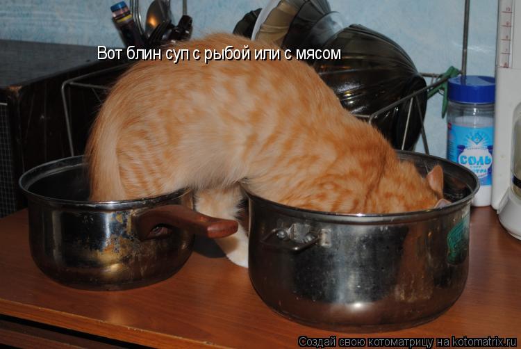 Вот блин суп с рыбой или с мясом... Котоматрица: Вот блин суп с рыбой или с мясом