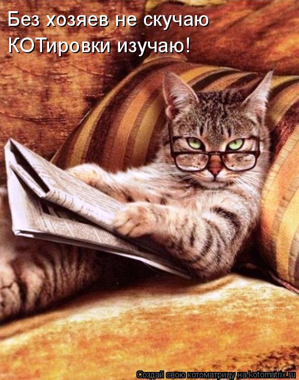 Без хозяев не скучаю КОТировки изучаю!... Котоматрица: Без хозяев не скучаю КОТировки изучаю!