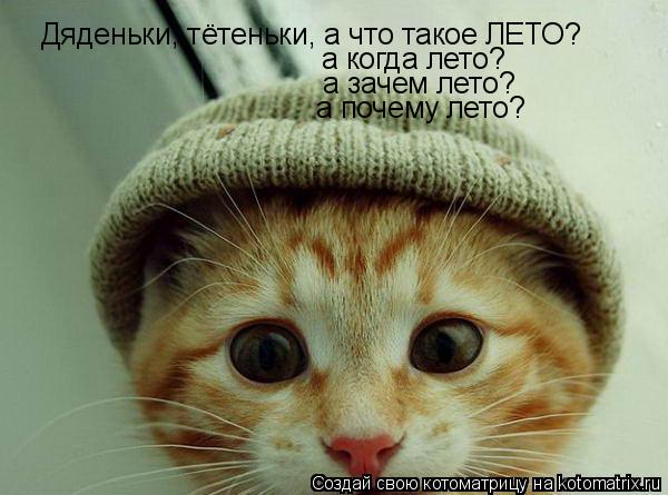 Дяденьки, тётеньки, а что такое ЛЕТО? а когда лето? а зачем лето? а почему лето?... Котоматрица: Дяденьки, тётеньки, а что такое ЛЕТО? а когда лето? а зачем лето? а почему лето?