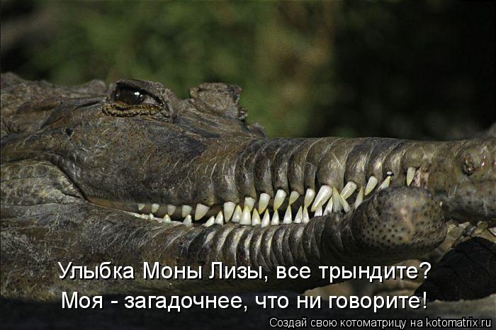 Улыбка Моны Лизы, все трындите? Моя - загадочнее, что ни говорите!... Котоматрица: Улыбка Моны Лизы, все трындите? Моя - загадочнее, что ни говорите!
