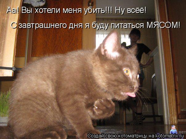Аа! Вы хотели меня убить!!! Ну всёё! С завтрашнего дня я буду питаться МЯСОМ!... Котоматрица: Аа! Вы хотели меня убить!!! Ну всёё! С завтрашнего дня я буду питаться МЯСОМ!