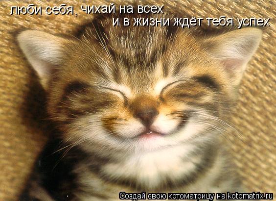 Котоматрица: люби себя люби себя , чихай на всех и в жизни ждёт тебя успех