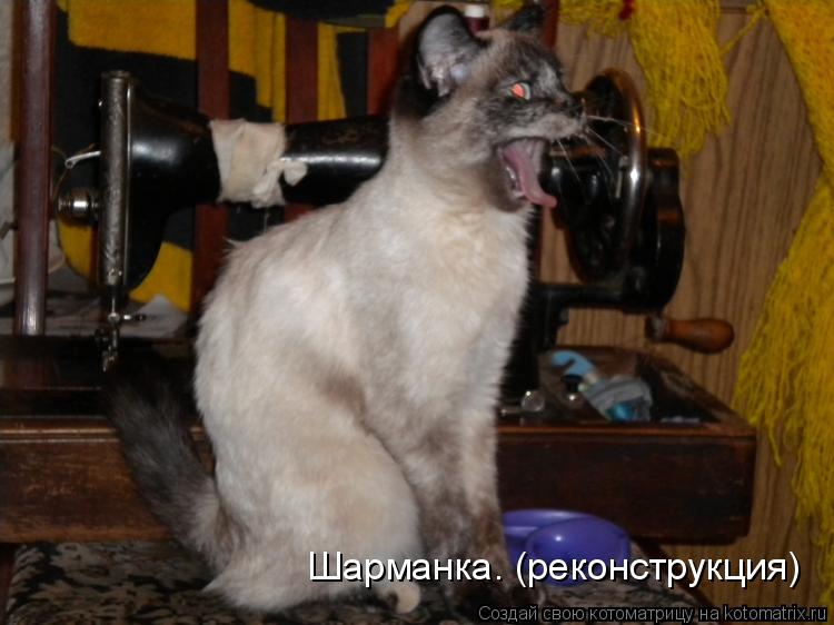 Шарманка. (реконструкция)... Котоматрица: Шарманка. (реконструкция)