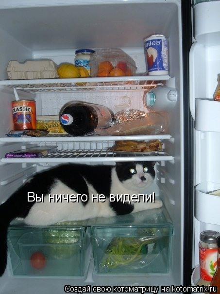 Вы ничего не видели!... Котоматрица: Вы ничего не видели!