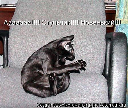Ааааааа!!!! Стульчик!!!! Новенький!!!... Котоматрица: Ааааааа!!!! Стульчик!!!! Новенький!!!