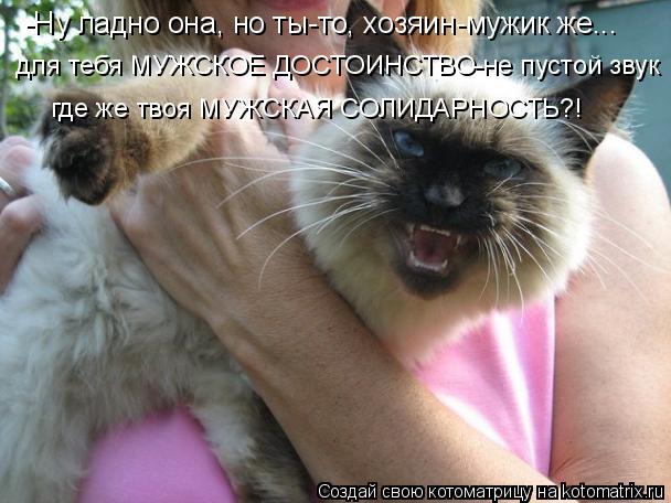-Ну ладно она, но ты-то, хозяин-мужик же... для тебя МУЖСКОЕ ДОСТОИНСТВО-не пустой звук где же твоя М... Котоматрица: -Ну ладно она, но ты-то, хозяин-мужик же... для тебя МУЖСКОЕ ДОСТОИНСТВО-не пустой звук где же твоя МУЖСКАЯ СОЛИДАРНОСТЬ?!