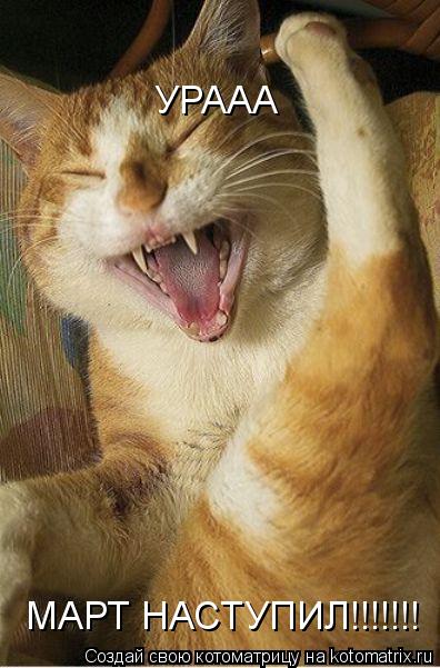 Котоматрица: МАРТ НАСТУПИЛ!!!!!!! УРААА