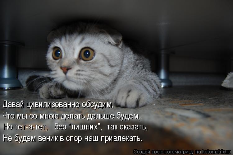 Котоматрица: Давай цивилизованно обсудим, Что мы со мною делать дальше будем, Но тет-а-тет,   без "лишних",  так сказать, Не будем веник в спор наш привлекат