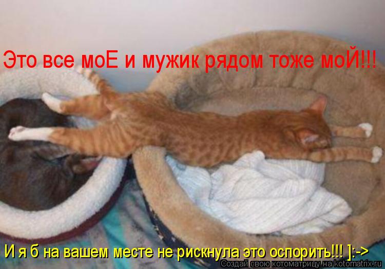 обломилась доска подвела казака