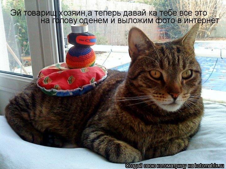 Эй товарищ хозяин,а теперь давай ка тебе все это на голову оденем и выложим фото в интернет Эй товари... Котоматрица: Эй товарищ хозяин,а теперь давай ка тебе все это на голову оденем и выложим фото в интернет Эй товарищ хозяин,а теперь давай ка тебе все это