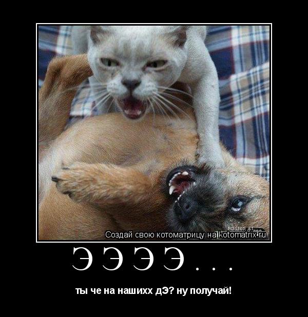 Ээээ... ты че на нашихх дЭ? ну получай!... Котоматрица: Ээээ... ты че на нашихх дЭ? ну получай!