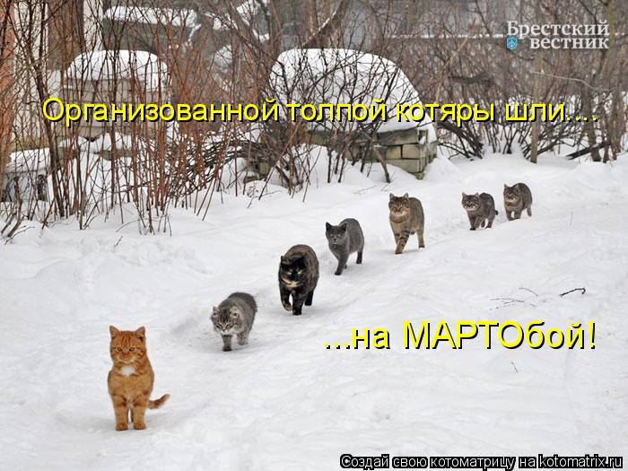 Организованной толпой котяры шли.... ...на МАРТОбой!... Котоматрица: Организованной толпой котяры шли.... ...на МАРТОбой!