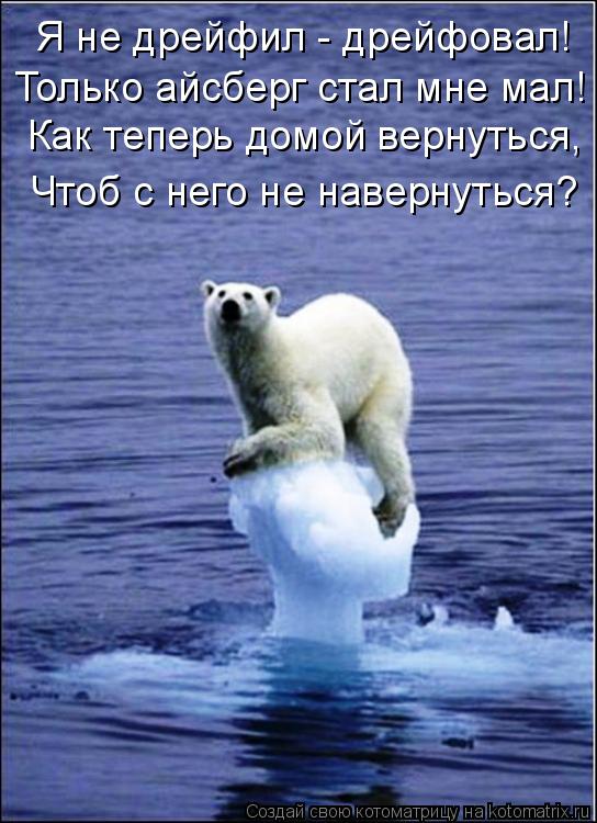 Котоматрица: Я не дрейфил - дрейфовал! Только айсберг стал мне мал! Как теперь домой вернуться, Чтоб с него не навернуться?