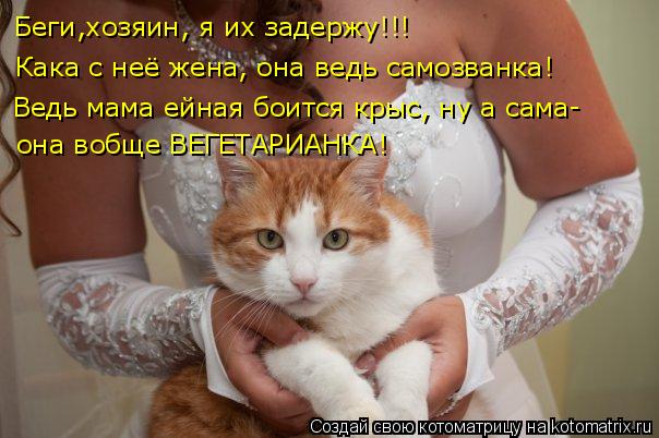 Котоматрица: Беги,хозяин, я их задержу!!! Кака с неё жена, она ведь самозванка! Ведь мама ейная боится крыс, ну а сама- она вобще ВЕГЕТАРИАНКА!