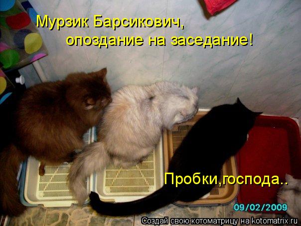 Котоматрица: Мурзик Барсикович,  опоздание на заседание!  Пробки,господа..