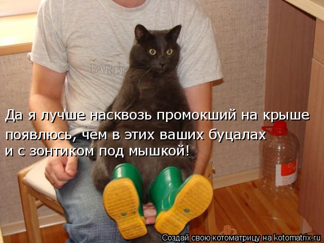 Да я лучше насквозь промокший на крыше появлюсь, чем в этих ваших буцалах и с зонтиком под мышкой!... Котоматрица: Да я лучше насквозь промокший на крыше появлюсь, чем в этих ваших буцалах и с зонтиком под мышкой!