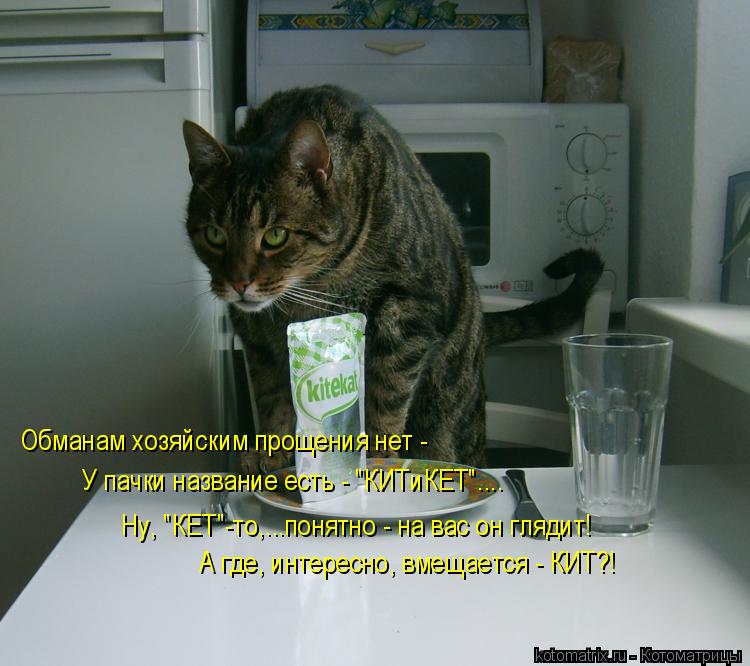 Обманам хозяйским прощения нет - У пачки название есть - "КИТиКЕТ".... Ну, "КЕТ"-то,...понятно - на в... Котоматрица: Обманам хозяйским прощения нет - У пачки название есть - "КИТиКЕТ".... Ну, "КЕТ"-то,...понятно - на вас он глядит! А где, интересно, вмещается - КИТ?!