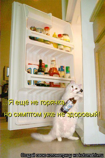 Котоматрица: ...Я ещё не горячка, но симптом уже не здоровый!
