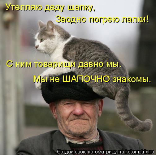 Утепляю деду шапку, Заодно погрею лапки! С ним товарищи давно мы. Мы не ШАПОЧНО знакомы.... Котоматрица: Утепляю деду шапку, Заодно погрею лапки! С ним товарищи давно мы. Мы не ШАПОЧНО знакомы.