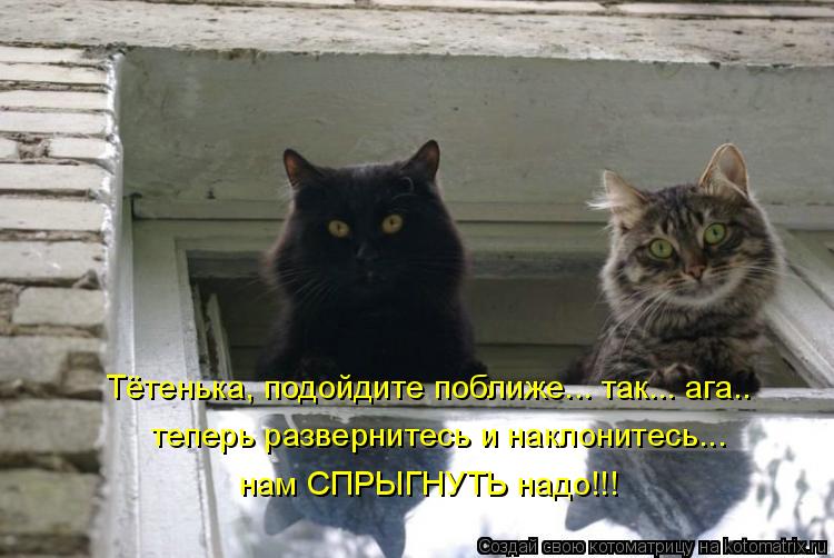 Тётенька, подойдите поближе... так... ага.. теперь развернитесь и наклонитесь... нам СПРЫГНУТЬ надо!!... Котоматрица: Тётенька, подойдите поближе... так... ага.. теперь развернитесь и наклонитесь... нам СПРЫГНУТЬ надо!!!