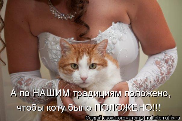 А по НАШИМ традициям положено, чтобы коту было ПОЛОЖЕНО!!!... Котоматрица: А по НАШИМ традициям положено, чтобы коту было ПОЛОЖЕНО!!!
