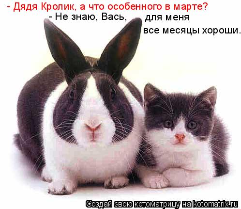 все месяцы хороши. для меня - Не знаю, Вась, - Дядя Кролик, а что особенного в марте?... Котоматрица: все месяцы хороши. для меня - Не знаю, Вась, - Дядя Кролик, а что особенного в марте?