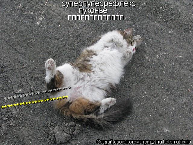 суперпуперрефлекс пуконье ппппппппппппп ********************** **********************... Котоматрица: суперпуперрефлекс пуконье ппппппппппппп ********************** **********************