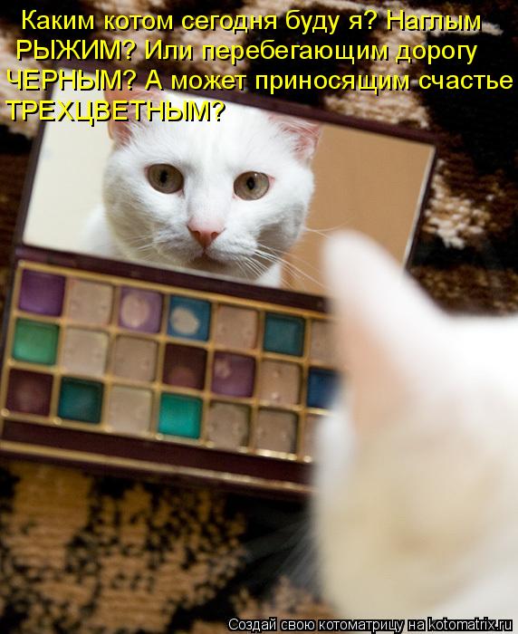 Каким котом сегодня буду я? Наглым РЫЖИМ? Или перебегающим дорогу ЧЕРНЫМ? А может приносящим счастье ... Котоматрица: Каким котом сегодня буду я? Наглым РЫЖИМ? Или перебегающим дорогу ЧЕРНЫМ? А может приносящим счастье ТРЕХЦВЕТНЫМ?