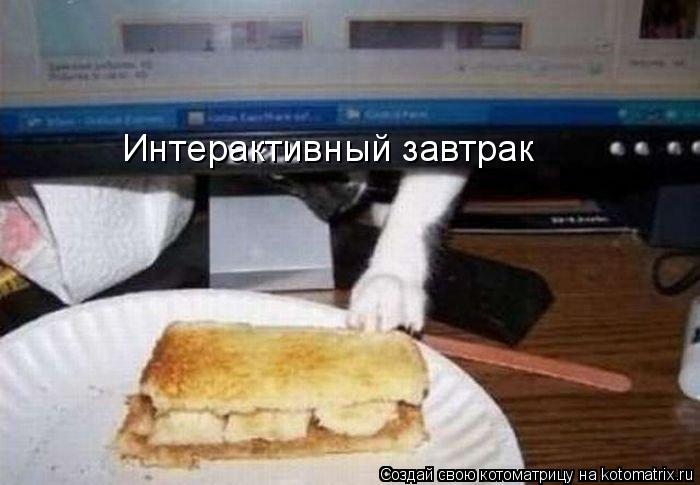 Котоматрица: Интерактивный завтрак