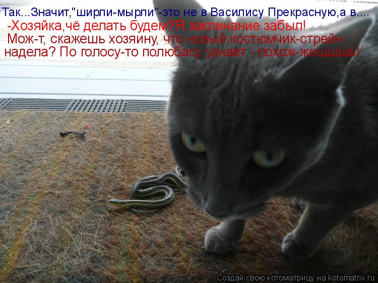 Так...Значит,"ширли-мырли"-это не в Василису Прекрасную,а в.... -Хозяйка,чё делать будем?Я заклинание... Котоматрица: Так...Значит,"ширли-мырли"-это не в Василису Прекрасную,а в.... -Хозяйка,чё делать будем?Я заклинание забыл! Мож-т, скажешь хозяину, что новый ко
