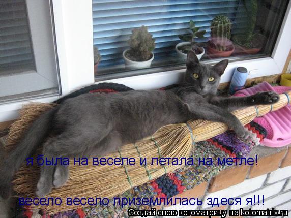 я была на веселе и летала на метле! весело весело приземлилась здеся я!!!... Котоматрица: я была на веселе и летала на метле! весело весело приземлилась здеся я!!!