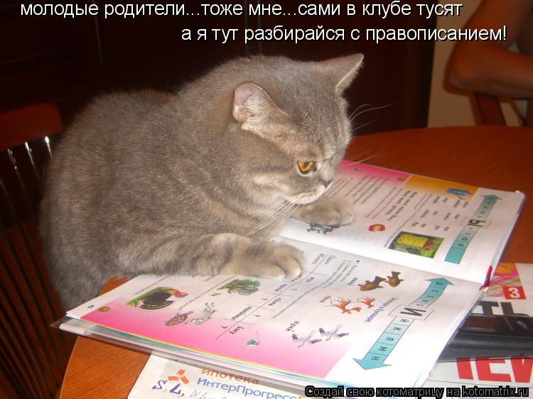 молодые родители...тоже мне...сами в клубе тусят а я тут разбирайся с правописанием!... Котоматрица: молодые родители...тоже мне...сами в клубе тусят а я тут разбирайся с правописанием!