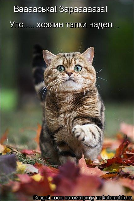 Котоматрица: Вааааська! Зараааааза! Упс......хозяин тапки надел...