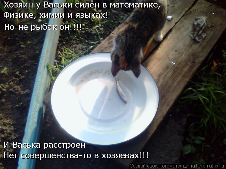 Хозяин у Васьки силён в математике, Физике, химии и языках! Но-не рыбак он!!!! И Васька расстроен- Н... Котоматрица: Хозяин у Васьки силён в математике, Физике, химии и языках! Но-не рыбак он!!!! И Васька расстроен- Нет совершенства-то в хозяевах!!!