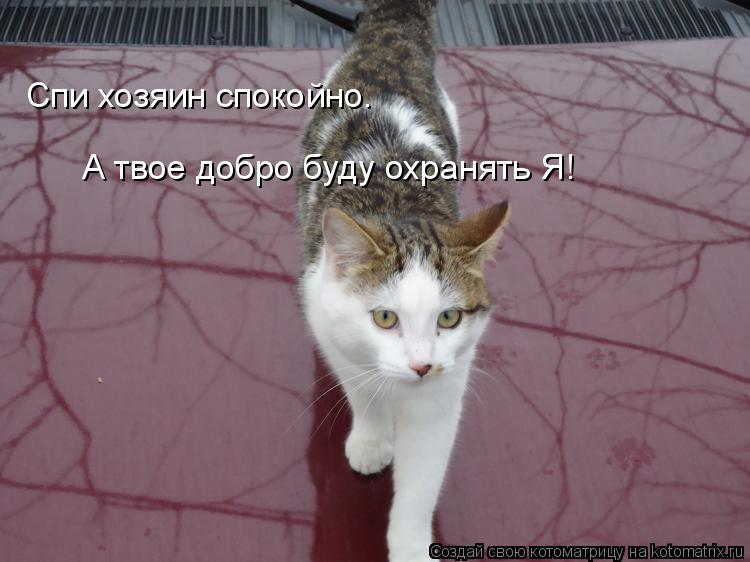 Котоматрица: Спи хозяин спокойно. А твое добро буду охранять Я!