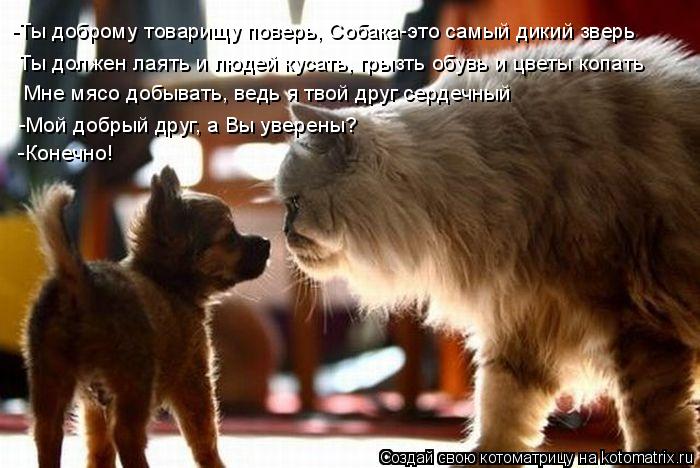 -Ты доброму товарищу поверь, Собака-это самый дикий зверь Ты должен лаять и людей кусать, грызть обув... Котоматрица: -Ты доброму товарищу поверь, Собака-это самый дикий зверь Ты должен лаять и людей кусать, грызть обувь и цветы копать Мне мясо добывать, ведь