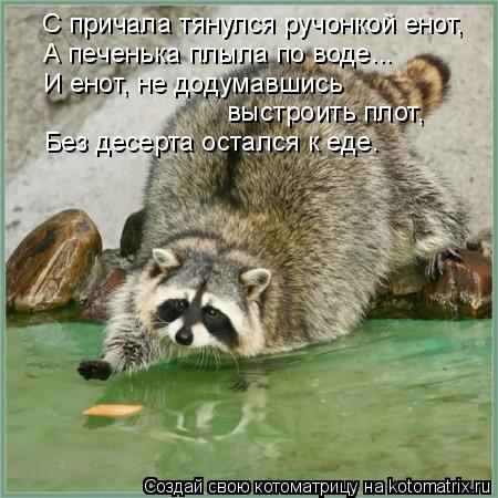 С причала тянулся ручонкой енот, А печенька плыла по воде... И енот, не додумавшись выстроить плот, Б... Котоматрица: С причала тянулся ручонкой енот, А печенька плыла по воде... И енот, не додумавшись выстроить плот, Без десерта остался к еде.