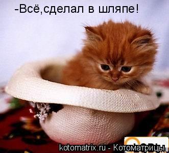 Котоматрица: -Всё,сделал в шляпе!