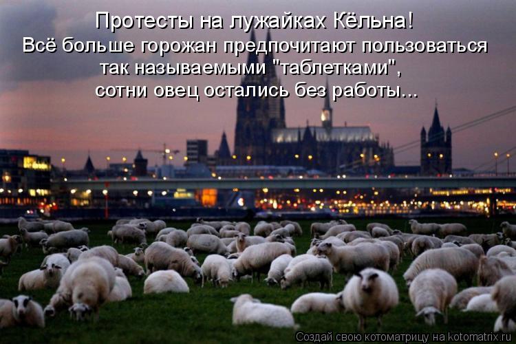 Котоматрица: Протесты на лужайках Кёльна! Всё больше горожан предпочитают пользоваться так называемыми "таблетками", сотни овец остались без работы...